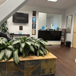 Joseph M Catalano, DDS PC - Catalano Oral Surgery and Implantology front desk and main waiting room