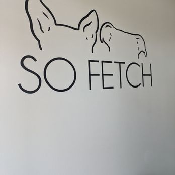 So Fetch Grooming Salon - Pet Groomers Near Me - Avon, Indiana So Fetch Grooming Salon - Pet Groomers Near Me - Avon, Indiana