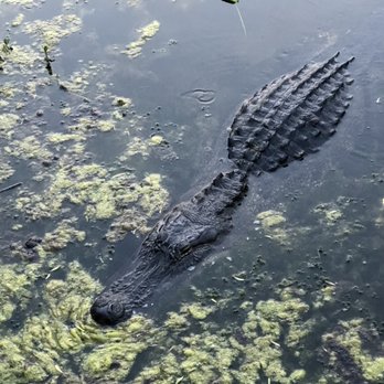 Cullinan Park - Parks Near Me - Sugar Land, Texas