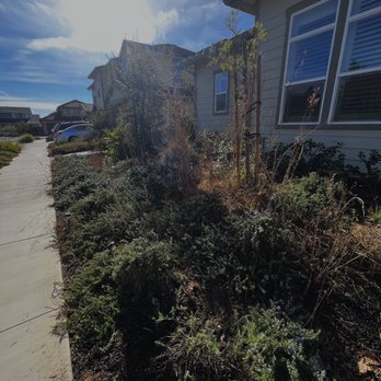 Barchuk Landscape - Landscaping Near Me Barchuk Landscape - Landscaping Near Me