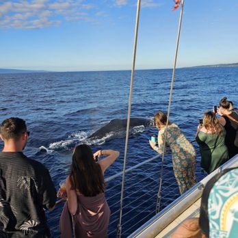 Sea Maui - Boat Charters Near Me - Lahaina, Hawaii Sea Maui - Boat Charters Near Me - Lahaina, Hawaii