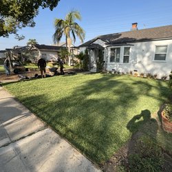 Mendez Tree Services