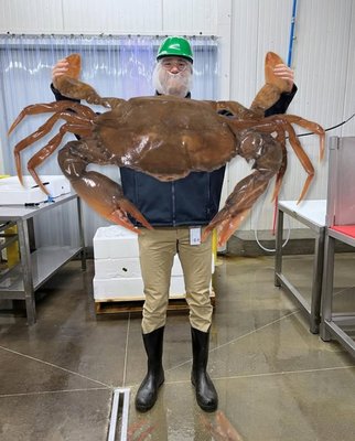 Congressional Seafood - Wholesale Seafood Supplier by null