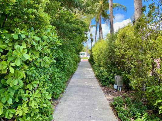 Parrot Key Hotel & Villas by null