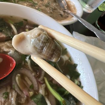 Brothers Bistro - Braised snails - Vietnamese Near Me - Springfield, Virginia Brothers Bistro - Braised snails - Vietnamese Near Me - Springfield, Virginia