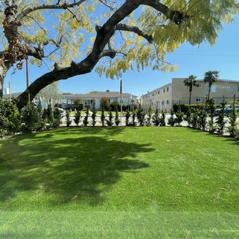 Heights Landscape - Tree Services Near Me