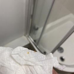 Kings Arms - What even is this ?! From shower