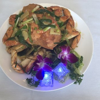 Fusion Taste - Chinese Near Me - Arlington, Massachusetts