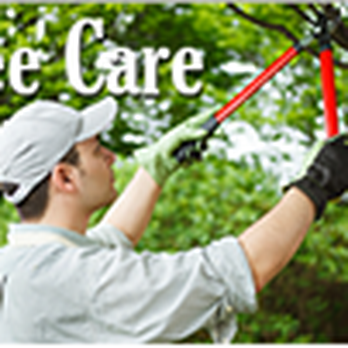 Gary Reynolds Tree Service - Tree Services Near Me