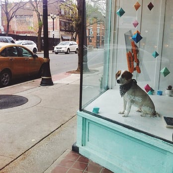 Needlework - Shop dog Peggy in the window. - Fabric Stores Near Me - Hamilton, Ontario Needlework - Shop dog Peggy in the window. - Fabric Stores Near Me - Hamilton, Ontario