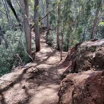 Aiea Loop Trail - Go carefully - Hiking Near Me - Aiea, Hawaii