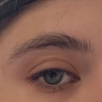 The Brow Fixx - Before - Waxing Near Me - Santa Monica, California