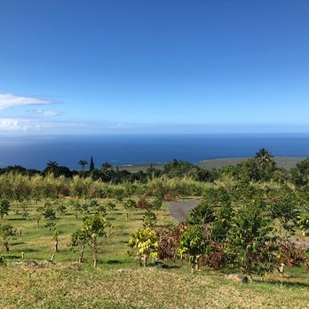 Pele Plantations - The plantation - Coffee & Tea Near Me - Waimea, Hawaii