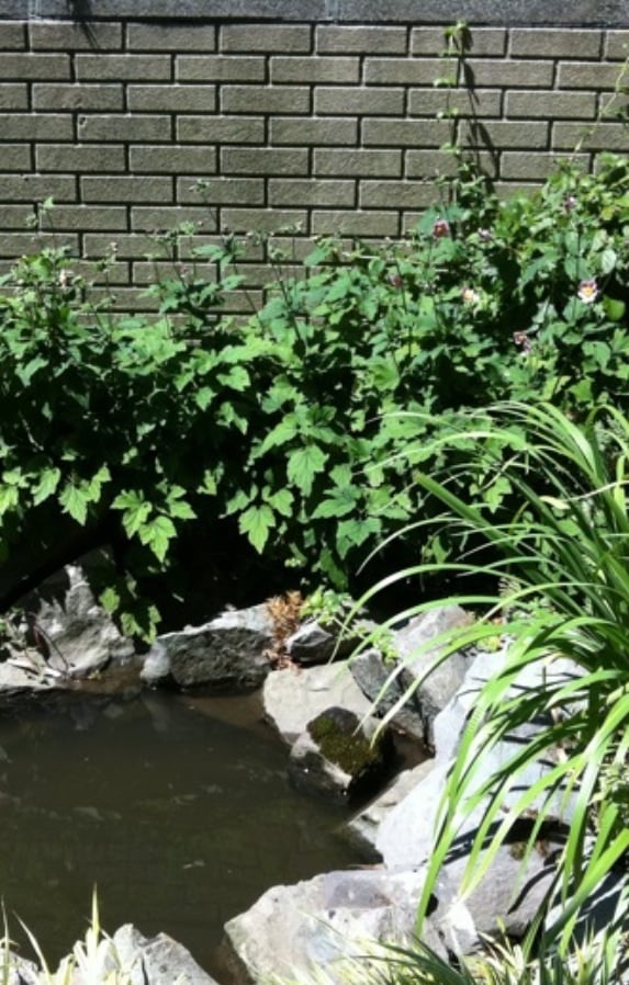 The Little Japanese Zen Garden Image