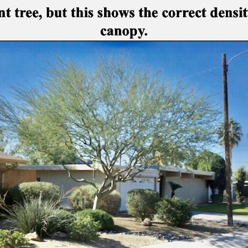 Bell de Mar Landscaping & Maintenance - Palo verde thinning and trimming - Landscaping Near Me Bell de Mar Landscaping & Maintenance - Palo verde thinning and trimming - Landscaping Near Me