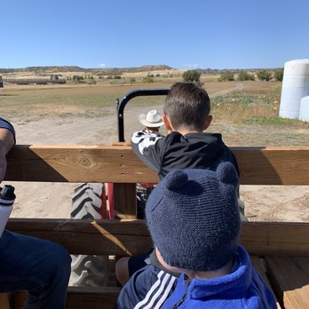 Lone Creek Farms - Panning for gold tractor ride - Attraction Farms Near Me - Franktown, Colorado Lone Creek Farms - Panning for gold tractor ride - Attraction Farms Near Me - Franktown, Colorado