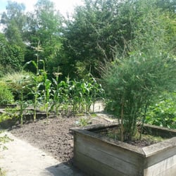 Jardin Botanique Jean Massart - Quelques plantes cultivées