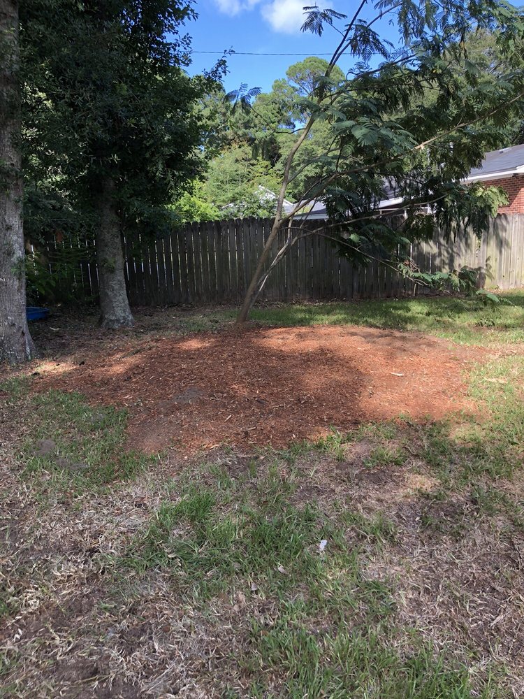 Against The Grain Tree Care - tree service in Charleston, SC