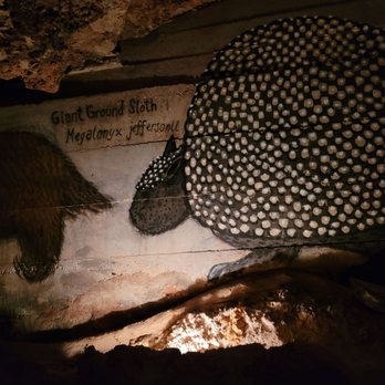 Inner Space Cavern - Painting of sloth believed to have once lived in the caves - Tours Near Me - Georgetown, Texas