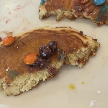 Original Pancake House - On 12/13/25 at 8:45 AM my wife found this INSECT in the RAINBOW PANCAKES for our 2 year old. We're consulting how to address this. - Breakfast & Brunch Near Me - Coral Springs, Florida Original Pancake House - On 12/13/25 at 8:45 AM my wife found this INSECT in the RAINBOW PANCAKES for our 2 year old. We're consulting how to address this. - Breakfast & Brunch Near Me - Coral Springs, Florida