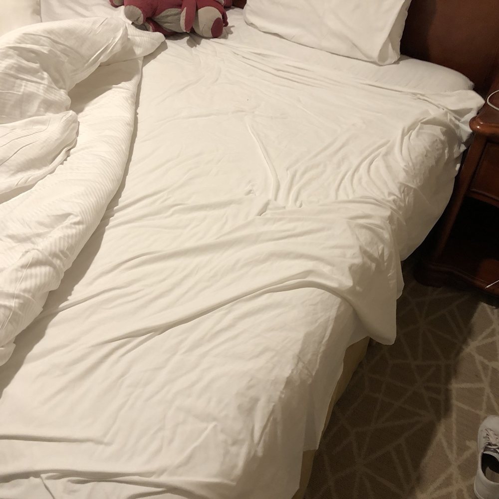 The Point Hotel & Suites - Hotels Near Me - Orlando, Florida