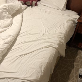 The Point Hotel & Suites - Hotels Near Me - Orlando, Florida The Point Hotel & Suites - Hotels Near Me - Orlando, Florida