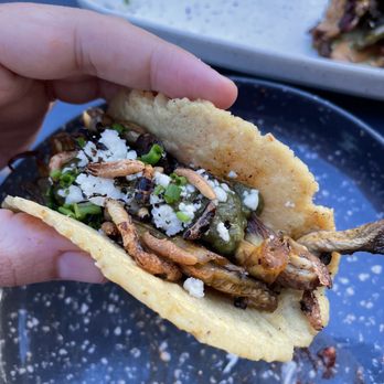 Estella - Smoked Mushroom Tacos - Tacos Near Me - Reno, Nevada