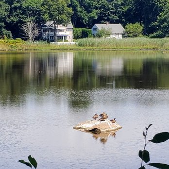 Coolidge Reservation - Parks Near Me - Manchester, Massachusetts
