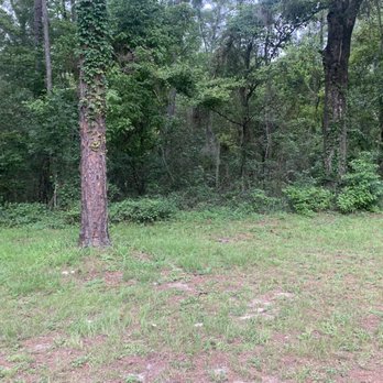 Land Development Solutions - Before with 25 years of growth - Excavation Services Near Me Land Development Solutions - Before with 25 years of growth - Excavation Services Near Me