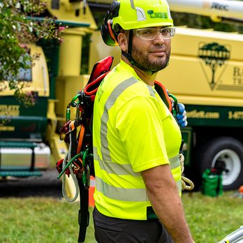 Bartlett Tree Experts - Tree Services Near Me - Santa Barbara, California