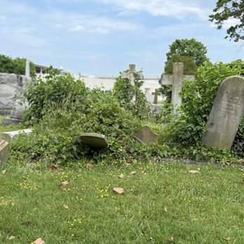 Elmwood Cemetery - This historic cemetery is suffering from a lack of care. City of Norfolk needs to do cleanup. - Funeral Services & Cemeteries Near Me - Norfolk, Virginia Elmwood Cemetery - This historic cemetery is suffering from a lack of care. City of Norfolk needs to do cleanup. - Funeral Services & Cemeteries Near Me - Norfolk, Virginia