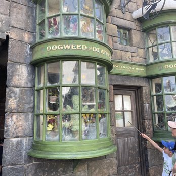 Hogwarts Express Hogsmeade Station - The "butter beer" dogweed&deadcat - Amusement Parks Near Me - Orlando, Florida Hogwarts Express Hogsmeade Station - The "butter beer" dogweed&deadcat - Amusement Parks Near Me - Orlando, Florida