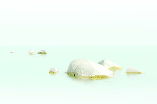 Tvedten Fine Art by null