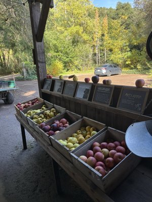 The Apple Farm by null