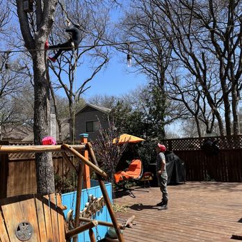 Austin Tree Care Service - Tree Services Near Me - Dale, Texas