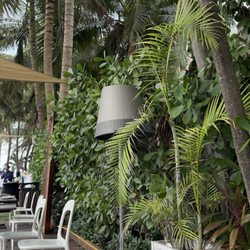 Backyard Bar - Outside