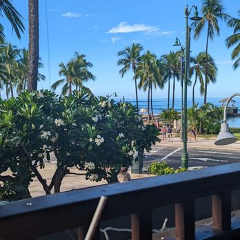 Lulu's Waikiki - Burgers Near Me - Honolulu, Hawaii