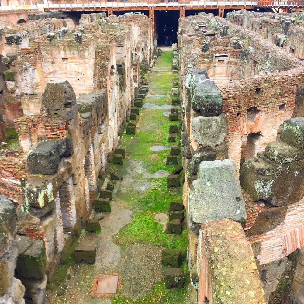 Colosseo - Underneath the battle floor - Local Flavor Near Me - Rome, RM Colosseo - Underneath the battle floor - Local Flavor Near Me - Rome, RM
