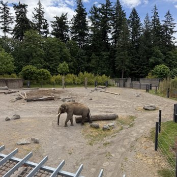 Oregon Zoo - Zoos Near Me - Portland, Oregon Oregon Zoo - Zoos Near Me - Portland, Oregon