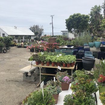 Cosentino's Nursery - Nurseries & Gardening Near Me - Malibu, California Cosentino's Nursery - Nurseries & Gardening Near Me - Malibu, California