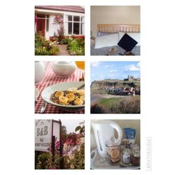 Beechlands Bed and Breakfast