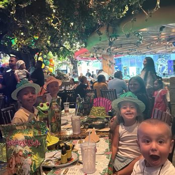 Rainforest Cafe - Kids - American Near Me - Ontario, California Rainforest Cafe - Kids - American Near Me - Ontario, California