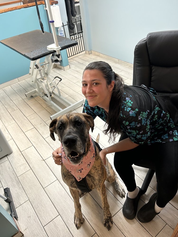 SPOTS DOG GROOMING Updated August 2024 11 Photos 878 E Ridge Rd