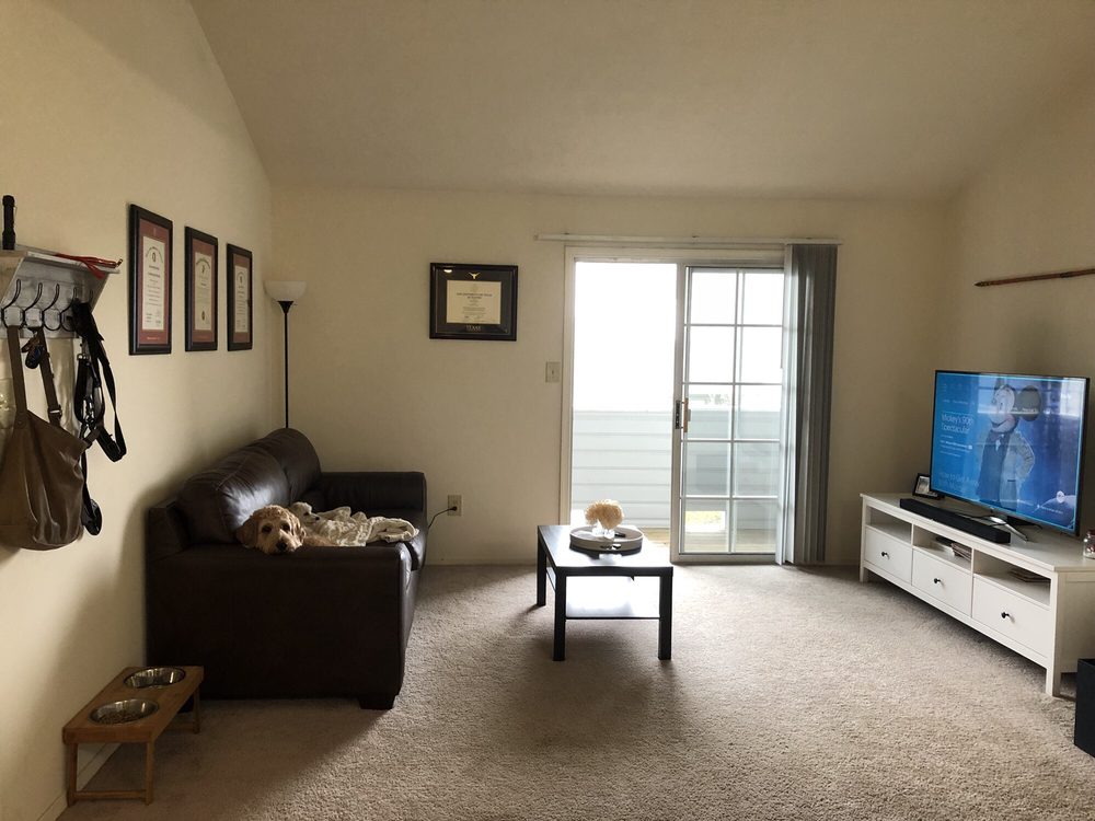 THE POINTE AT STAFFORD APARTMENT HOMES 35 Photos & 10 Reviews 300