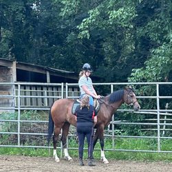 Bethel Park Stables