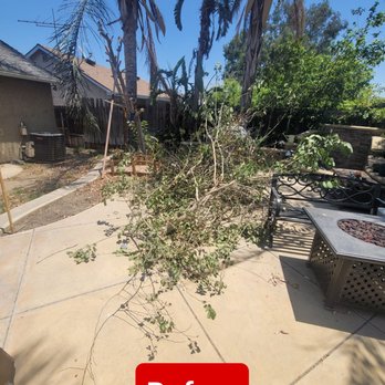 Lozada Tree Service - Tree Services Near Me Lozada Tree Service - Tree Services Near Me
