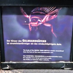 UnterWasserReich