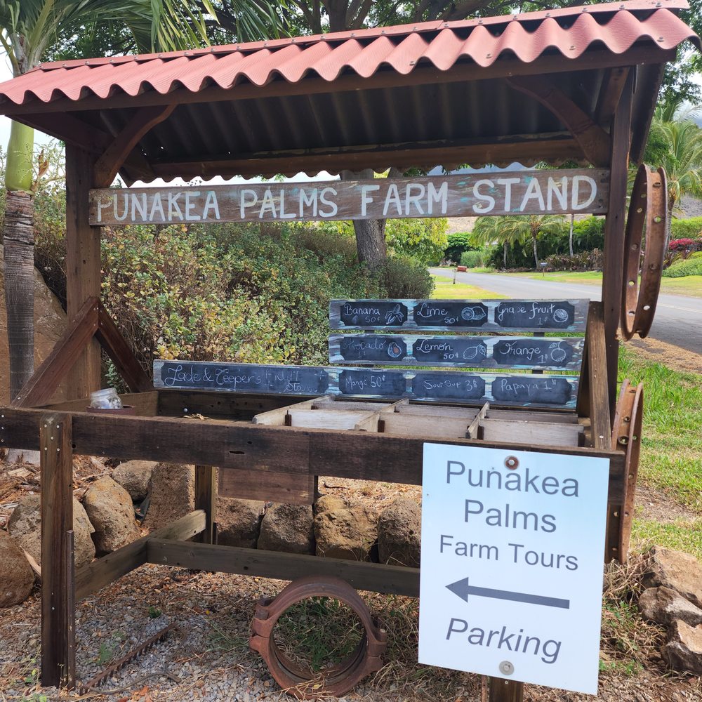 Punakea Palms - Tours Near Me - Lahaina, Hawaii Punakea Palms - Tours Near Me - Lahaina, Hawaii
