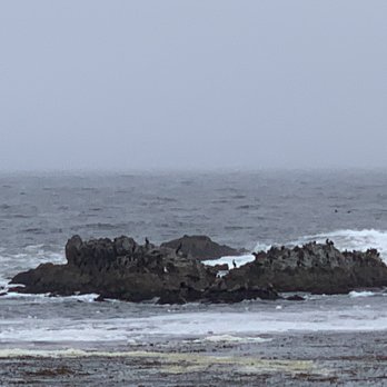 Bird Rock - Beaches Near Me - Pebble Beach, California