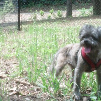 North Augusta bark park - Always a happy girl. - Dog Parks Near Me - North Augusta, South Carolina North Augusta bark park - Always a happy girl. - Dog Parks Near Me - North Augusta, South Carolina
